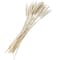 Dried Plant Bunny Tail Natural Foliage with Long Stems